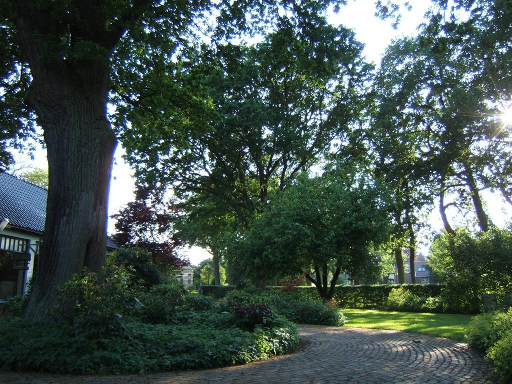 B&B"De Hassehof" Sellingen Exterior photo